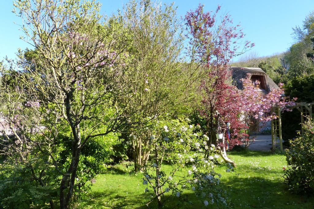La Flore Marine Saint-Jouin-Bruneval 외부 사진
